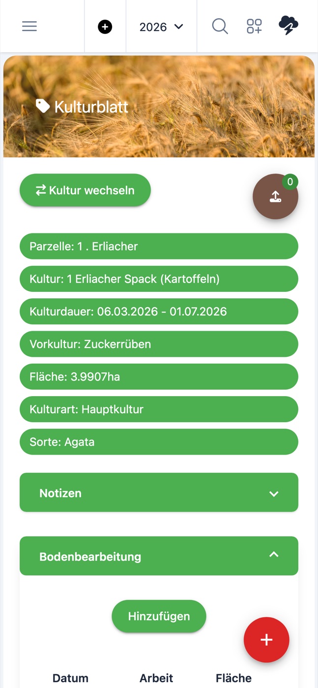 Kulturblatt auf dem Smartphone