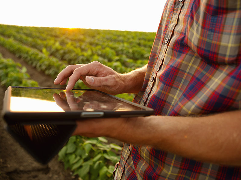 Landwirt erfasst einen Eintrag auf dem Tablet direkt im Feld